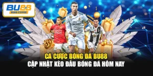 Cá Cược Bóng Đá BU88 – Cập Nhật Kèo Đấu Bóng Đá Hôm Nay