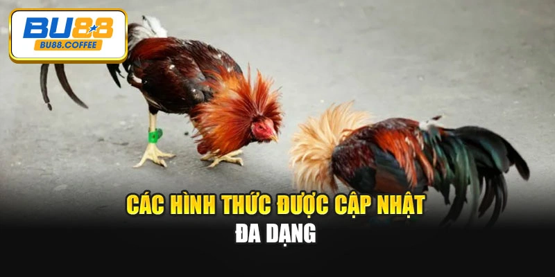 Các hình thức được cập nhật đa dạng