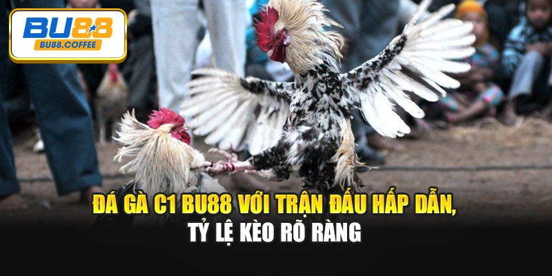 Đá Gà C1 BU88 Với Trận Đấu Hấp Dẫn, Tỷ Lệ Kèo Rõ Ràng