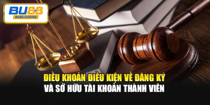 Điều khoản điều kiện về đăng ký và sở hữu tài khoản thành viên