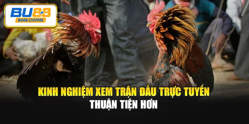 Kinh nghiệm xem trận đấu trực tuyến thuận tiện hơn