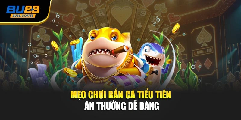 Mẹo chơi bắn cá tiểu tiên ăn thưởng dễ dàng