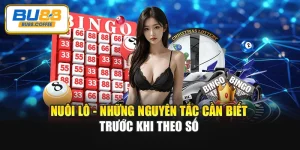 Nuôi Lô - Những Nguyên Tắc Cần Biết Trước Khi Theo Số