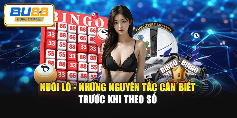 Nuôi Lô - Những Nguyên Tắc Cần Biết Trước Khi Theo Số