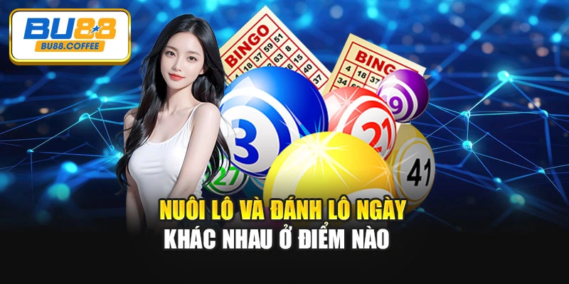 Nuôi lô và đánh lô ngày khác nhau ở điểm nào